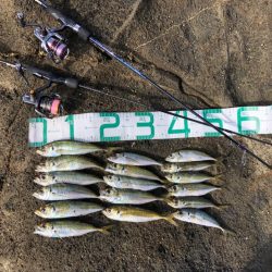 2022 佐渡ヶ島ライトゲーム＆エギング新…