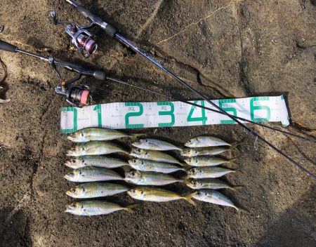 2022 佐渡ヶ島ライトゲーム＆エギング新…