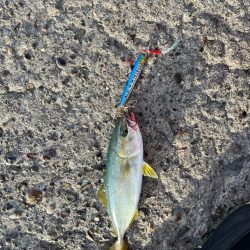 ショアジギング