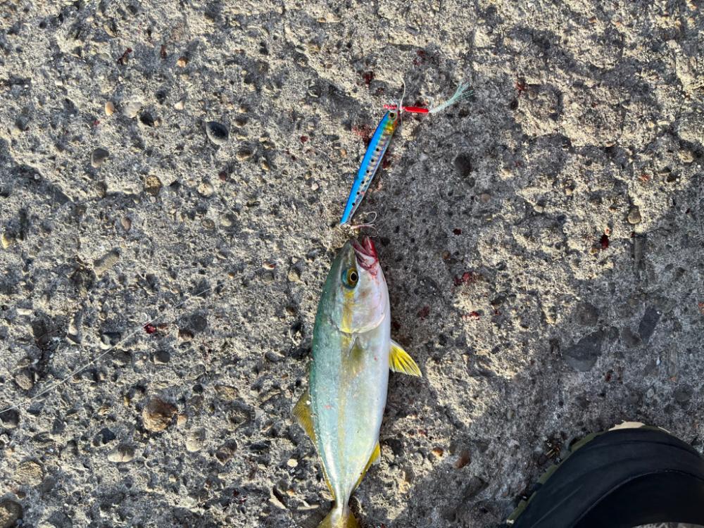 ショアジギング