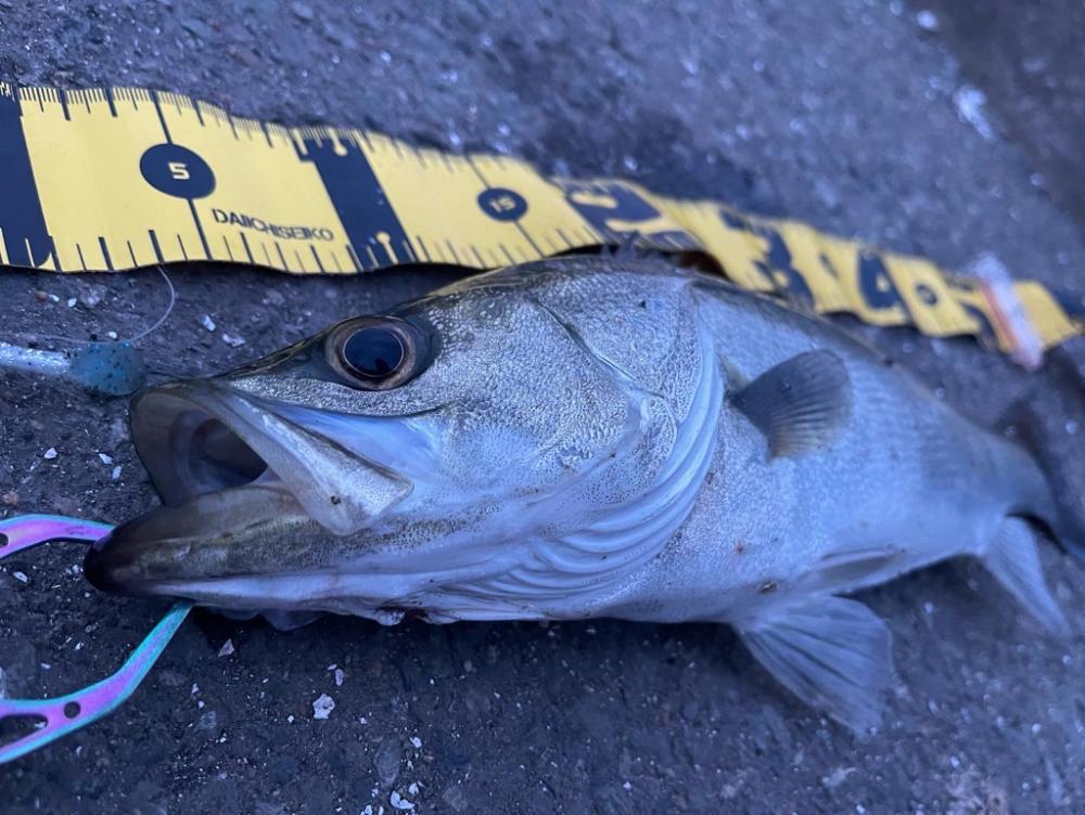 久しぶりのオープンエリア