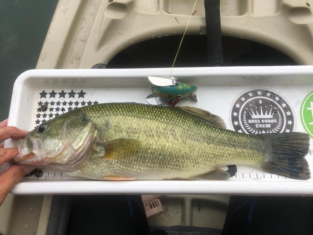 カヤックデビュー戦！