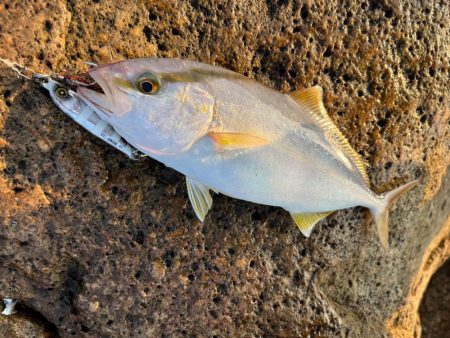 パターンを把握するのは大事