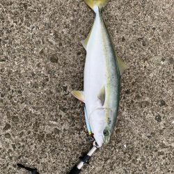 ホームでついに！