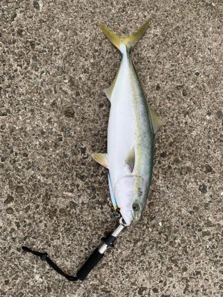 ホームでついに！