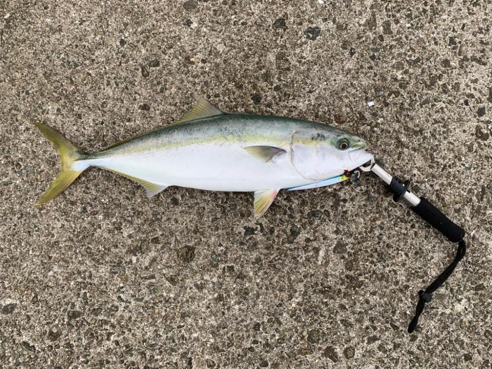 ホームでついに！