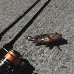 船のおろし先を探して