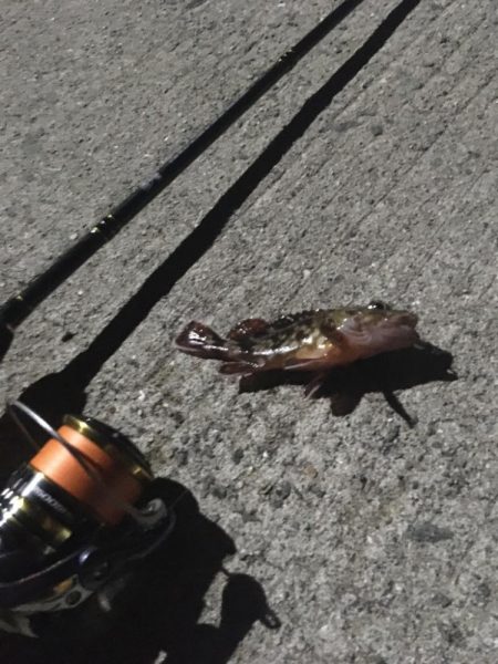 船のおろし先を探して