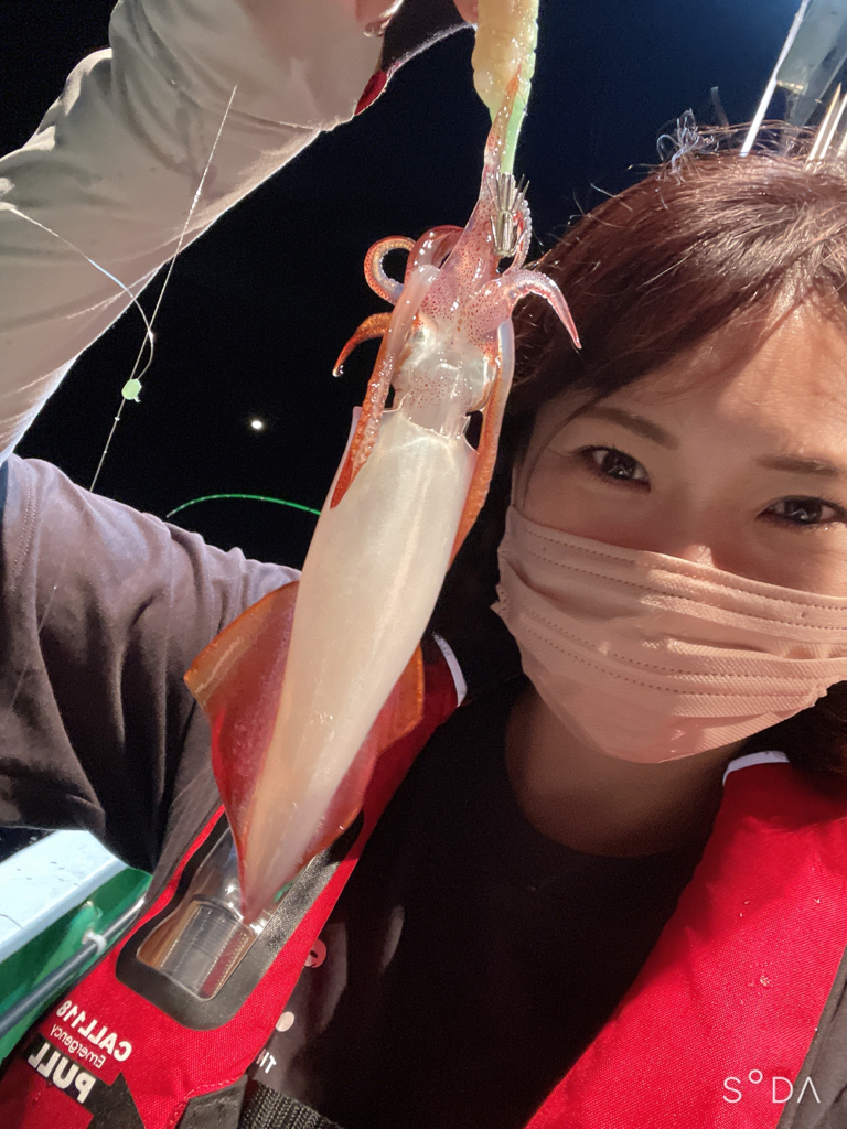 リベンジイカメタル