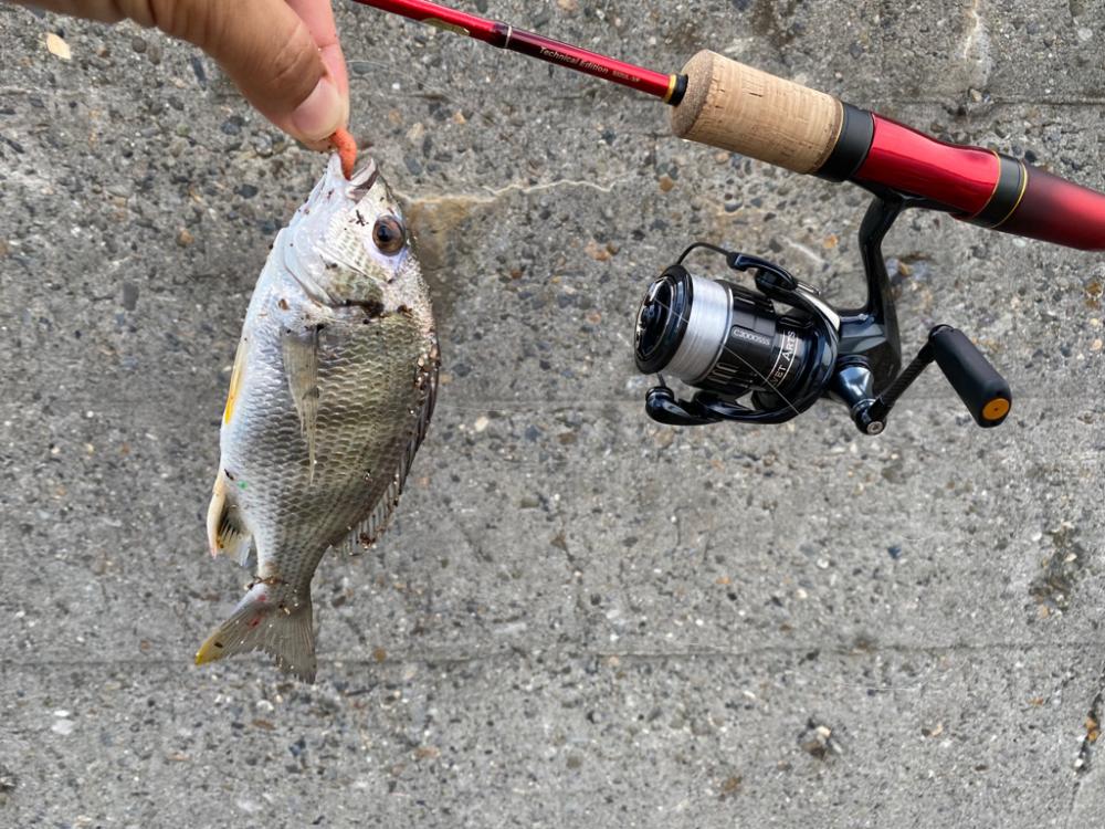 大阪府ライトゲーム