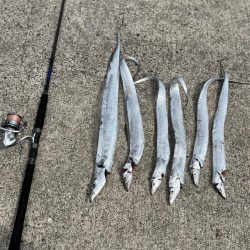 今回も刀狩りへ