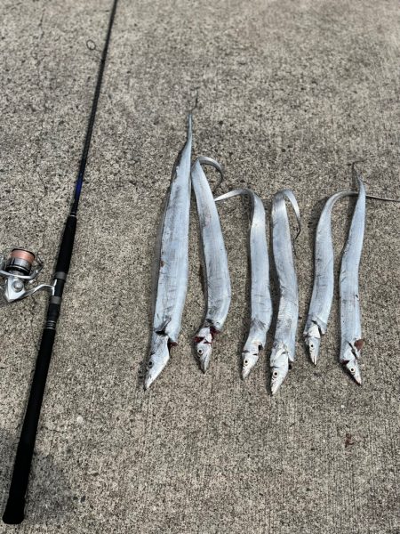 今回も刀狩りへ