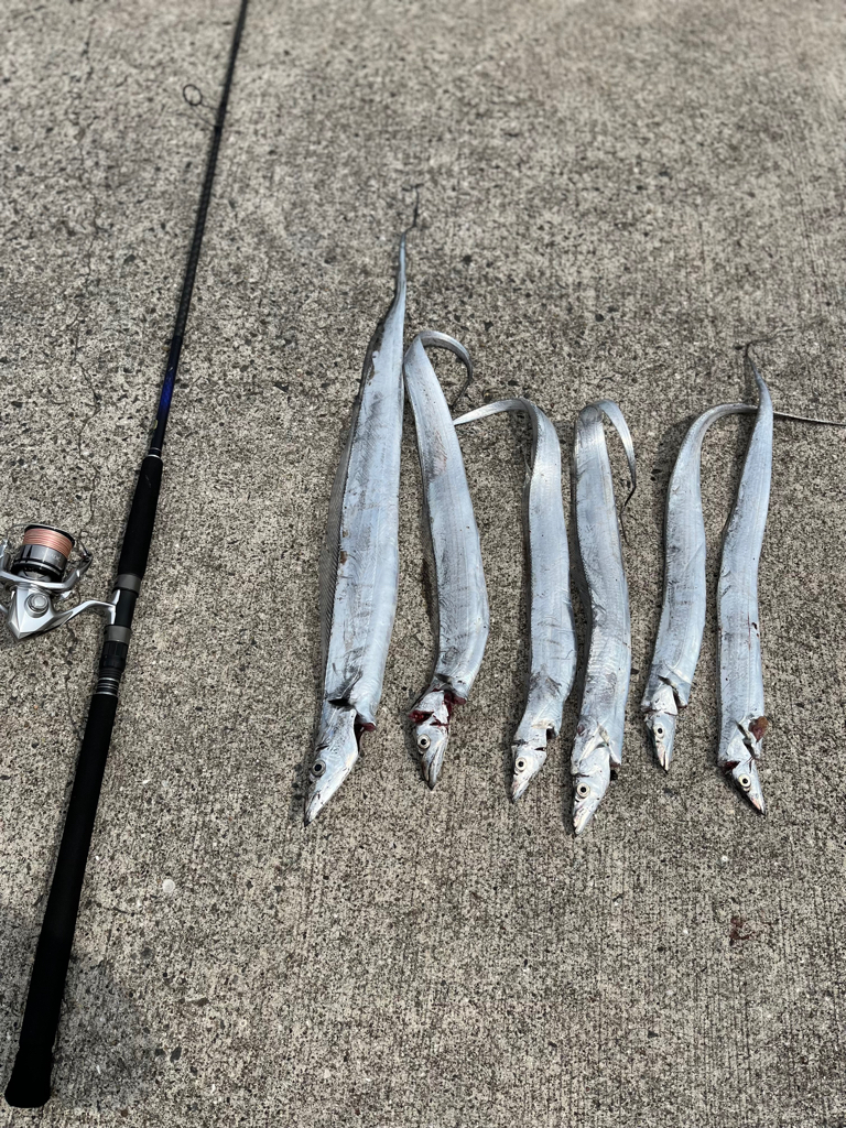 今回も刀狩りへ