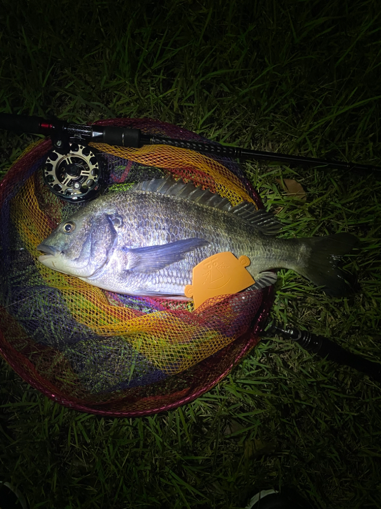 ヘチってきました