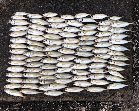 少しサイズアップ