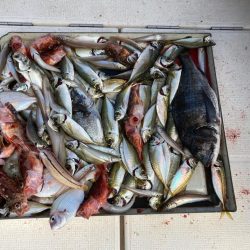 オフショア五目