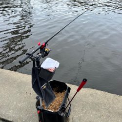 狙い通りなんですよ?