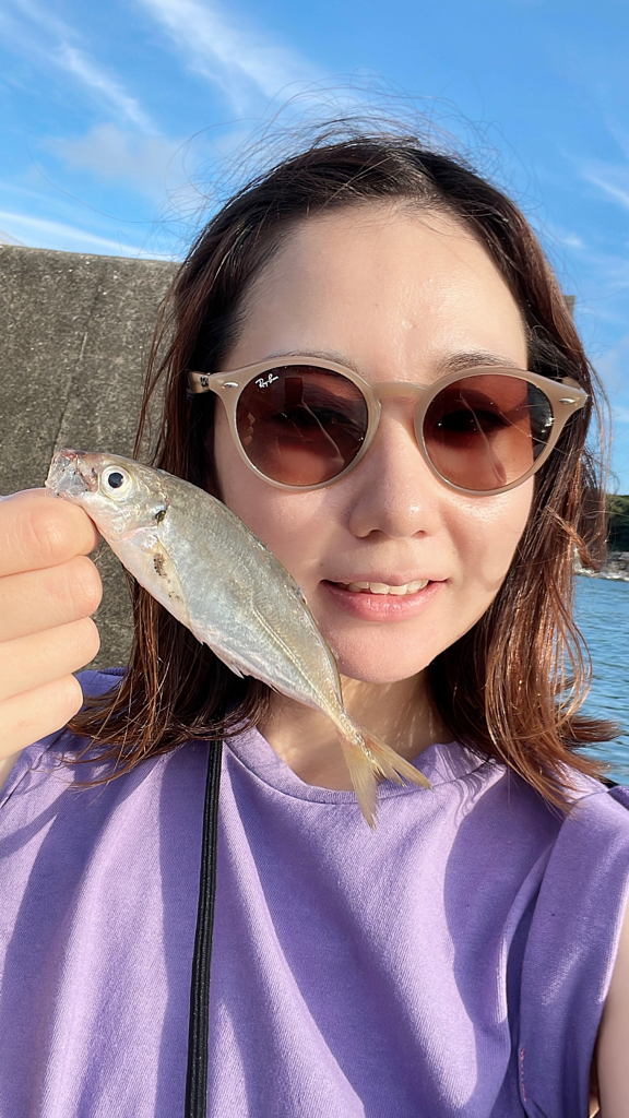 サビキ釣り釣果
