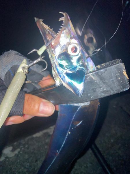 2022ライトゲーム第28戦