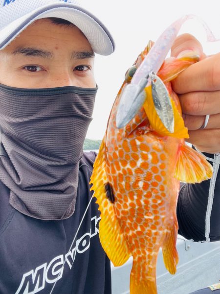 シャローロックフィッシュゲーム