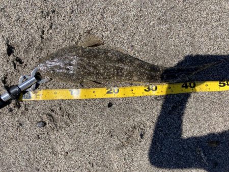 マゴチングからの〜チニング