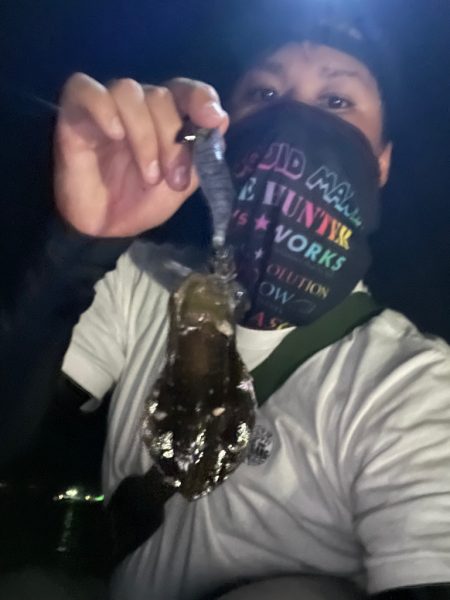 ナイトエギング！！