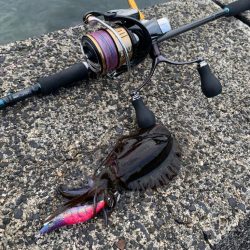 念願のシーズン開幕か!