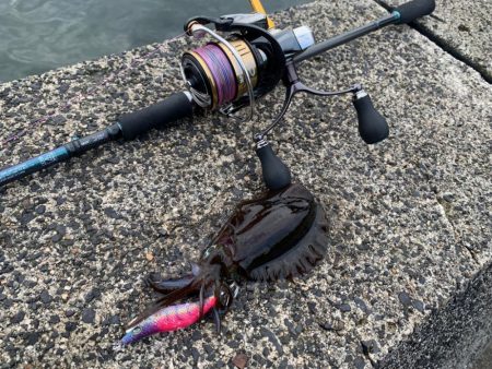 念願のシーズン開幕か！