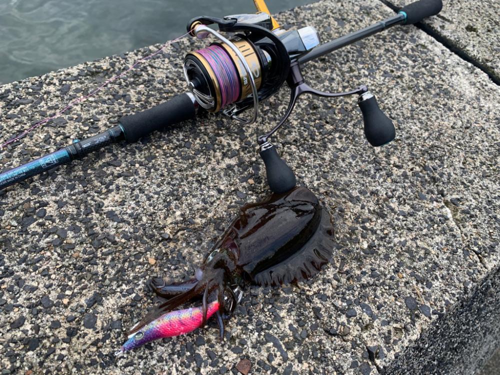 念願のシーズン開幕か！