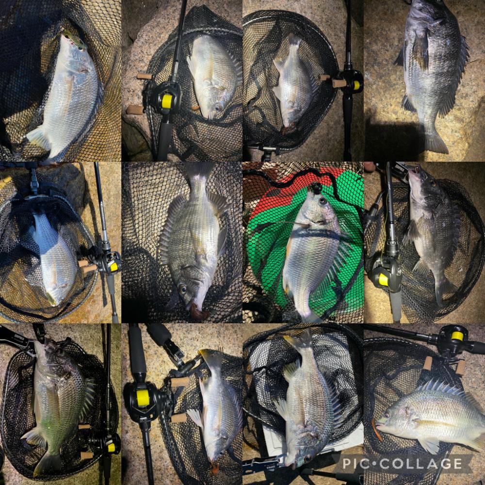 チニング アタリは無限