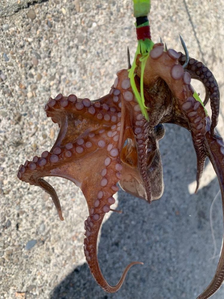 盆休み、初日ヤバい!