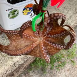 ☆泉州リベンジャーズ