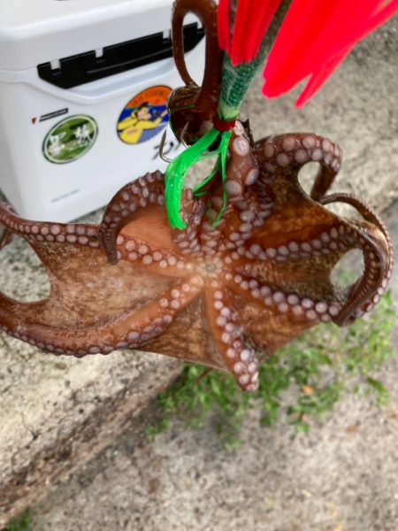 ☆泉州リベンジャーズ