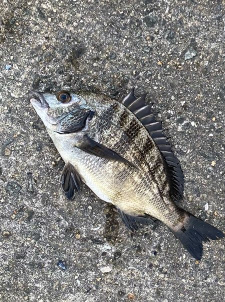 良い型を目指して