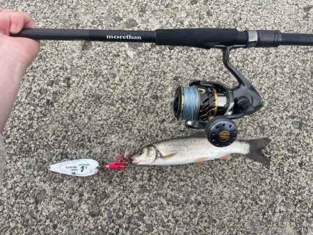 本命は釣れなかったが…