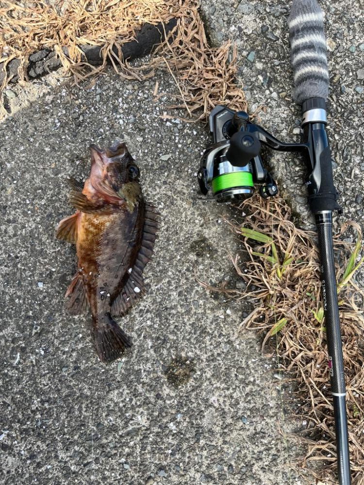 隙間時間ライトゲーム