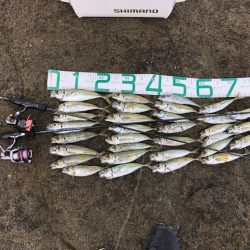 2022 佐渡ヶ島ライトゲーム