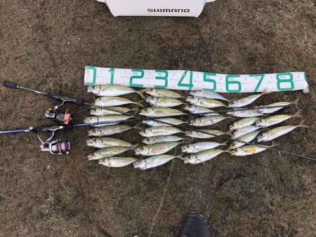 2022 佐渡ヶ島ライトゲーム