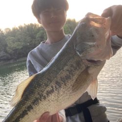 紀の川バス釣り爆釣