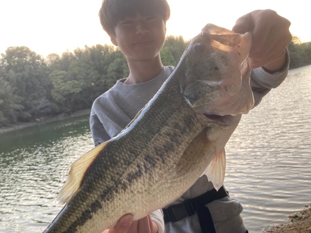 紀の川バス釣り爆釣