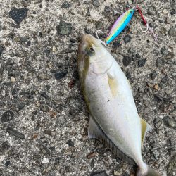 爆風のショアジギング