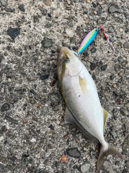 爆風のショアジギング