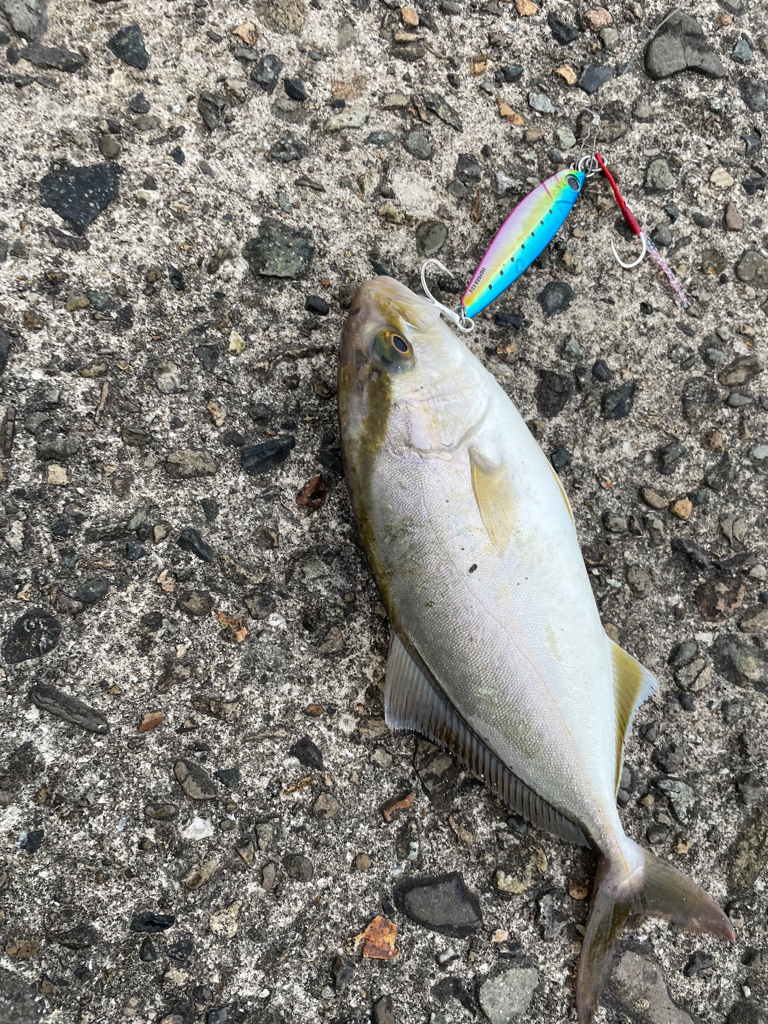 爆風のショアジギング