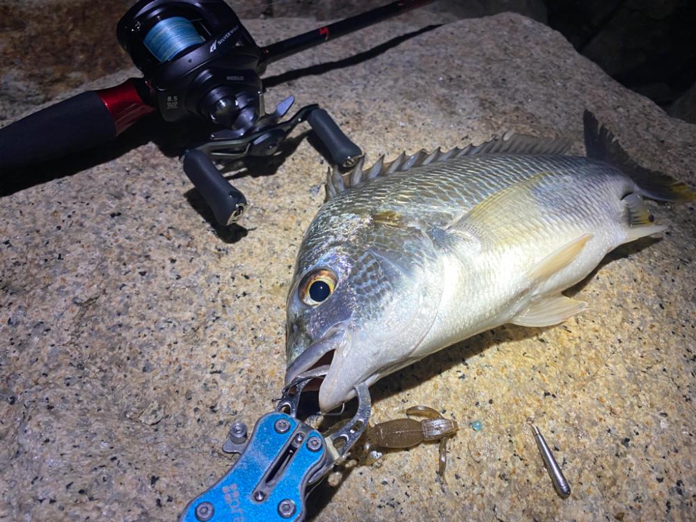 淀川ブリームゲーム