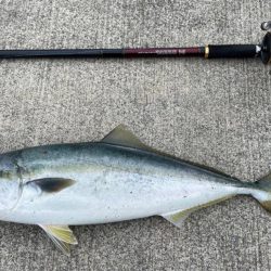 ショアジギング