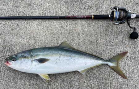 ショアジギング