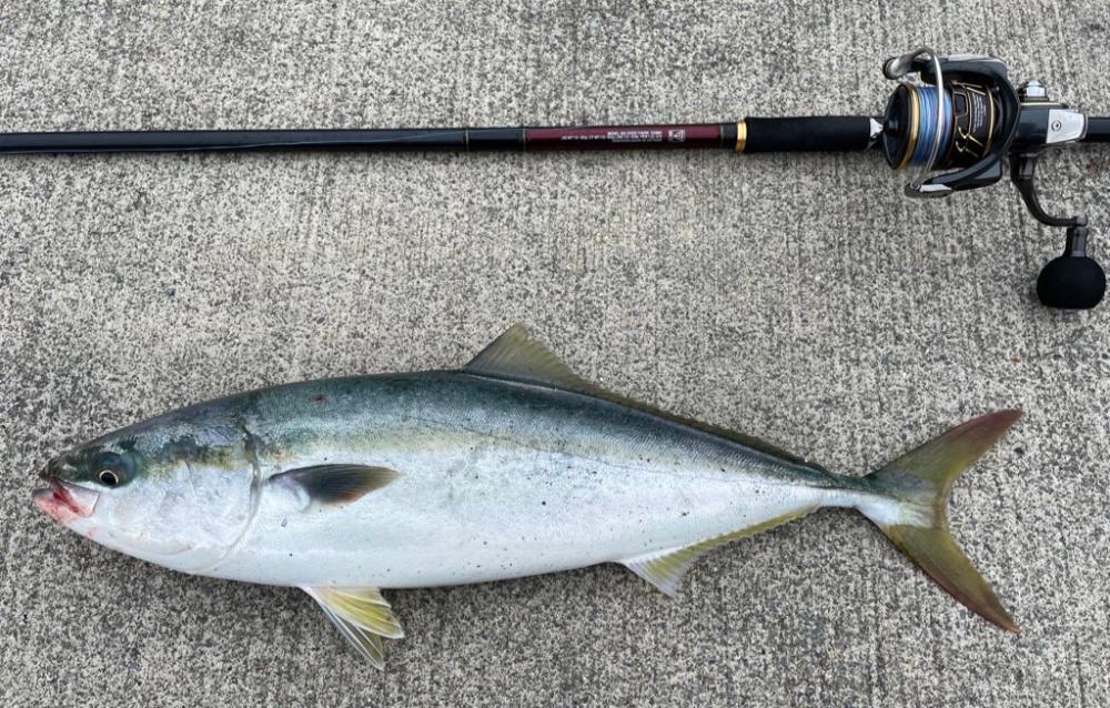 ショアジギング