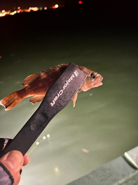 夜間オフショア