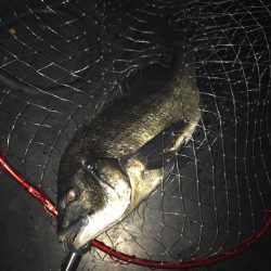 サイズアップ！