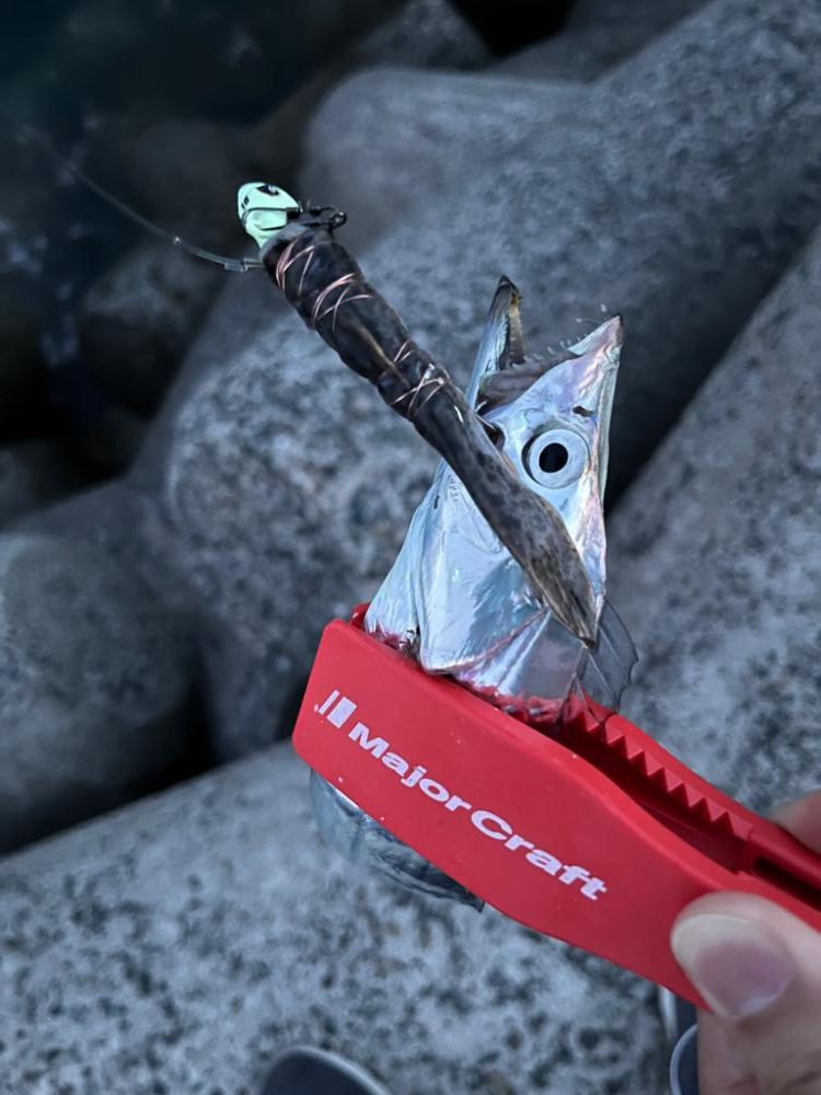 ショアタチウオテンヤ